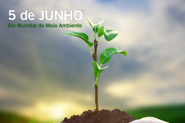 05 De Junho: Dia Mundial Do Meio Ambiente